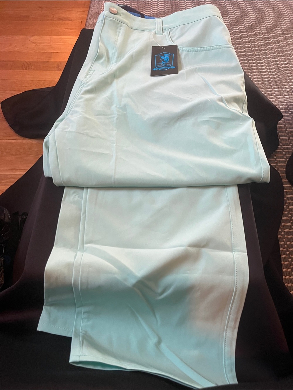 Scales Light seafoam lightweight Pants men’s with Logo Tag size 40/32 from scale